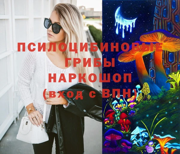 эйфоретик Алзамай