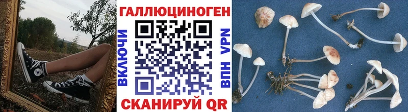 Псилоцибиновые грибы мухоморы гидра зеркало Донской купить наркоту
