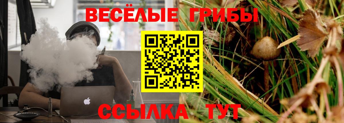 Галлюциногенные грибы мицелий Донской