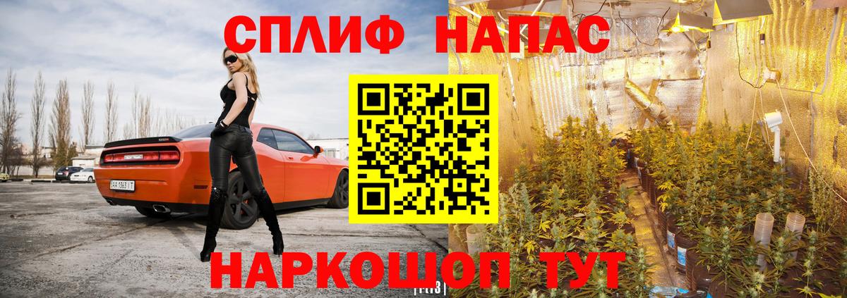 Каннабис семена Донской